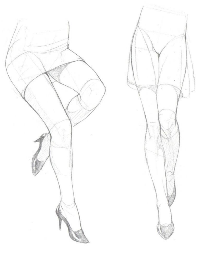 腿部肌肉04.gif 腿部肌肉04.gif