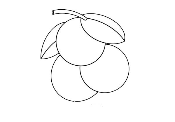 荔枝簡(jiǎn)筆畫的畫法