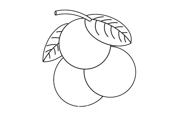 荔枝簡(jiǎn)筆畫的畫法