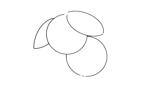 荔枝簡(jiǎn)筆畫的畫法