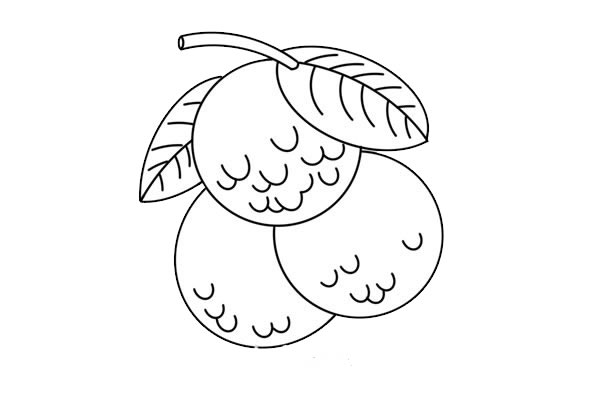 荔枝簡(jiǎn)筆畫的畫法