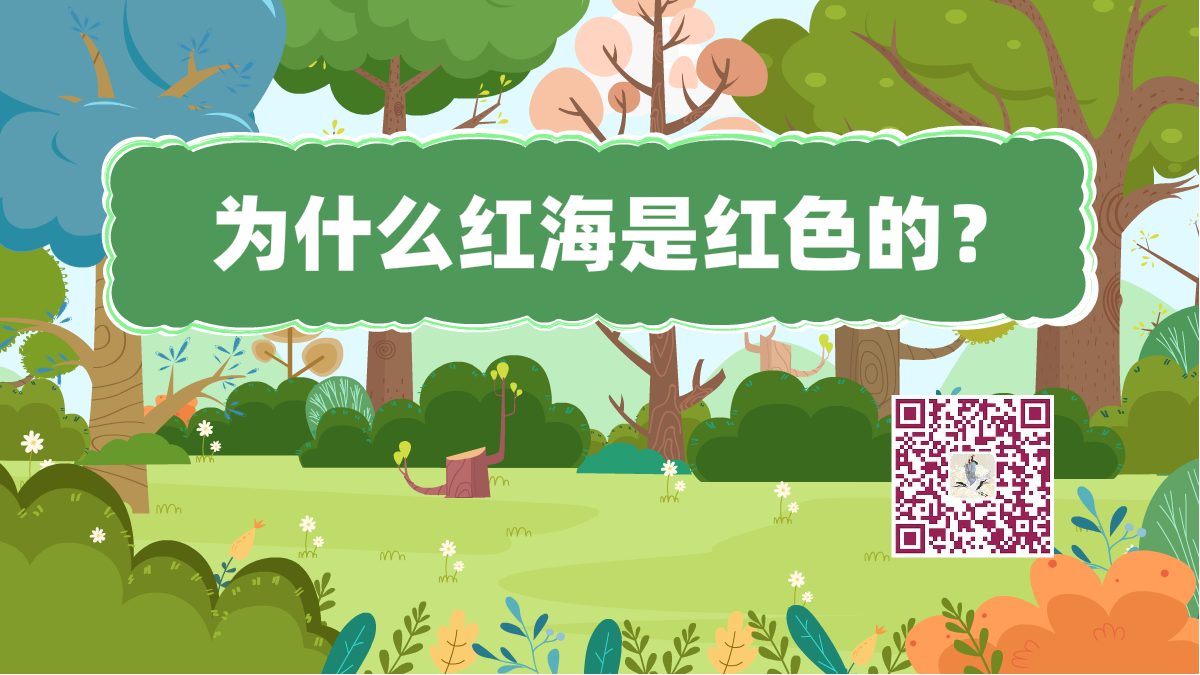 十萬個(gè)為什么標(biāo)題(紅海紅)1200.png 十萬個(gè)為什么標(biāo)題(紅海紅)1200.png