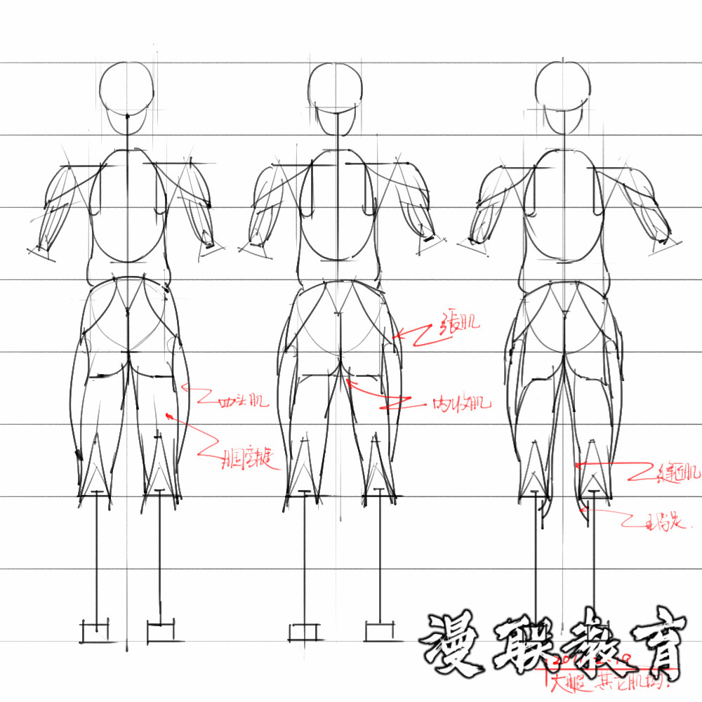 「動(dòng)漫設(shè)計(jì)素材」分享一波繪畫(huà)專(zhuān)用人體解剖素材 part 08 「動(dòng)漫設(shè)計(jì)素材」分享一波繪畫(huà)專(zhuān)用人體解剖素材 part 08