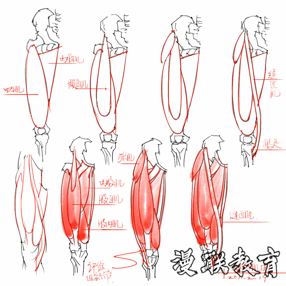 「動(dòng)漫設(shè)計(jì)素材」分享一波繪畫(huà)專(zhuān)用人體解剖素材 part 08 「動(dòng)漫設(shè)計(jì)素材」分享一波繪畫(huà)專(zhuān)用人體解剖素材 part 08