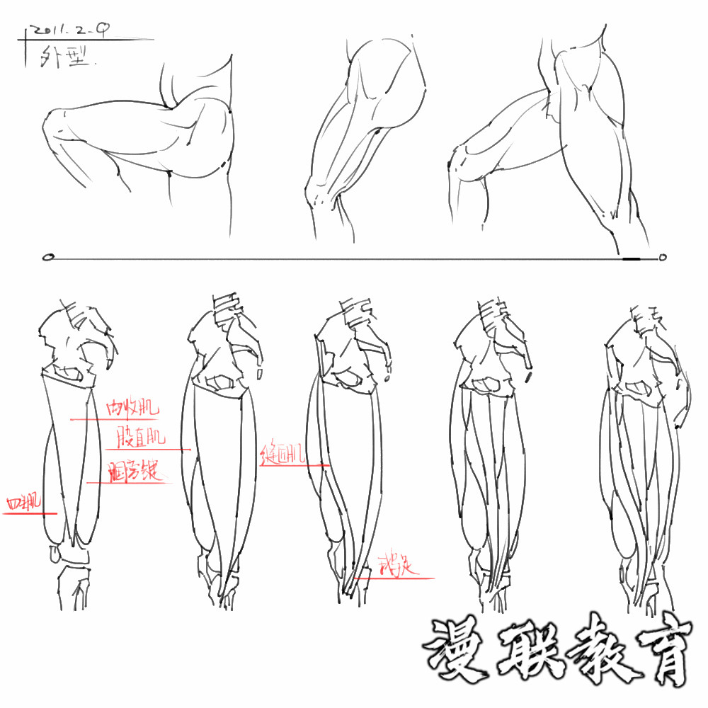 「動(dòng)漫設(shè)計(jì)素材」分享一波繪畫(huà)專(zhuān)用人體解剖素材 part 08 「動(dòng)漫設(shè)計(jì)素材」分享一波繪畫(huà)專(zhuān)用人體解剖素材 part 08