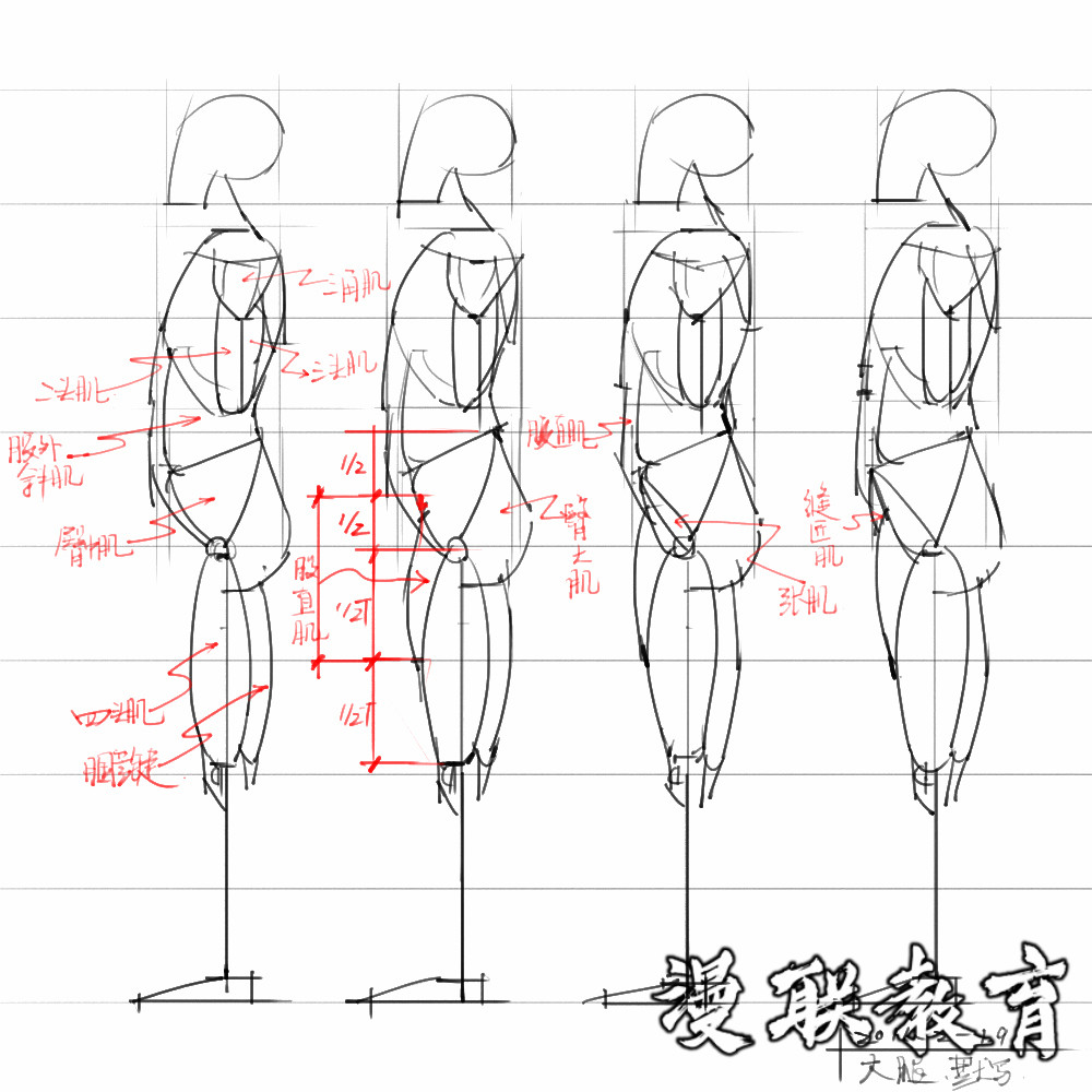 「動(dòng)漫設(shè)計(jì)素材」分享一波繪畫(huà)專(zhuān)用人體解剖素材 part 08 「動(dòng)漫設(shè)計(jì)素材」分享一波繪畫(huà)專(zhuān)用人體解剖素材 part 08