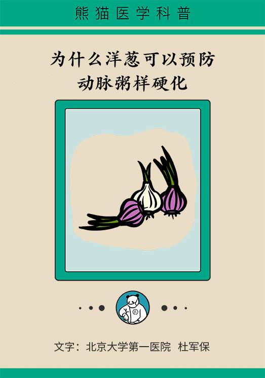 洋蔥可以預(yù)防動(dòng)脈硬化，是真的嗎？