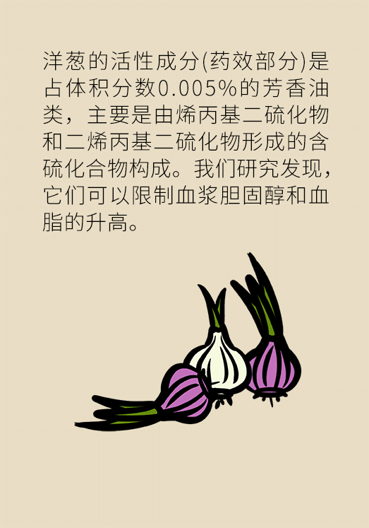 洋蔥可以預(yù)防動(dòng)脈硬化，是真的嗎？