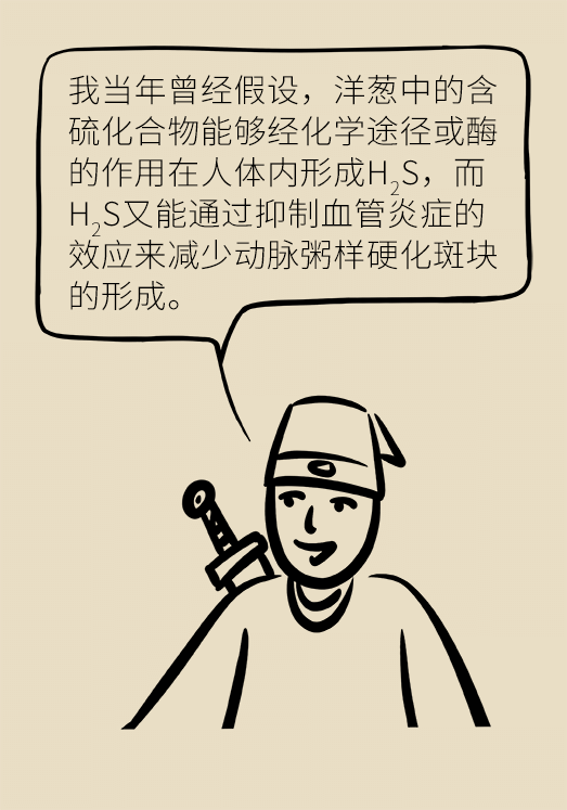 洋蔥可以預(yù)防動(dòng)脈硬化，是真的嗎？