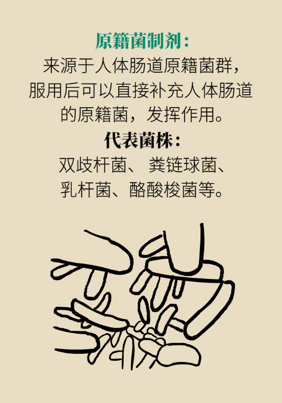 益生菌真能提高免疫力嗎？專家提醒注意這8點