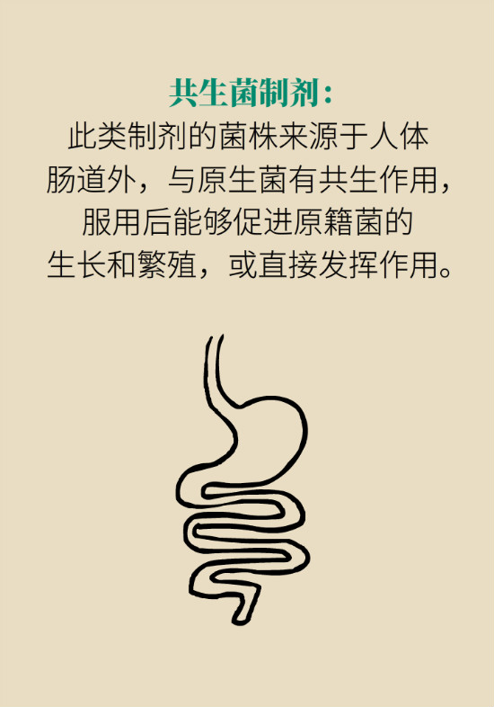 益生菌真能提高免疫力嗎？專家提醒注意這8點