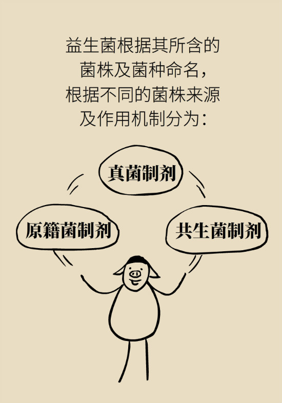 益生菌真能提高免疫力嗎？專家提醒注意這8點