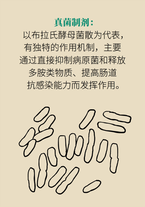 益生菌真能提高免疫力嗎？專家提醒注意這8點