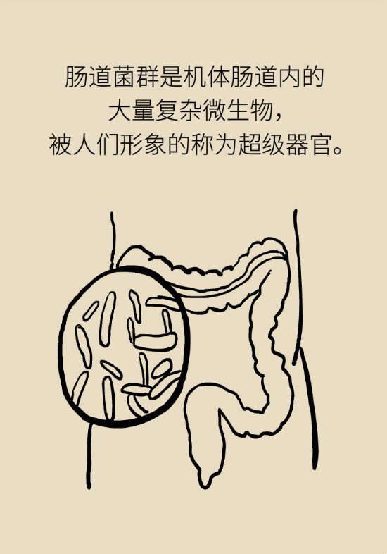 益生菌真能提高免疫力嗎？專家提醒注意這8點