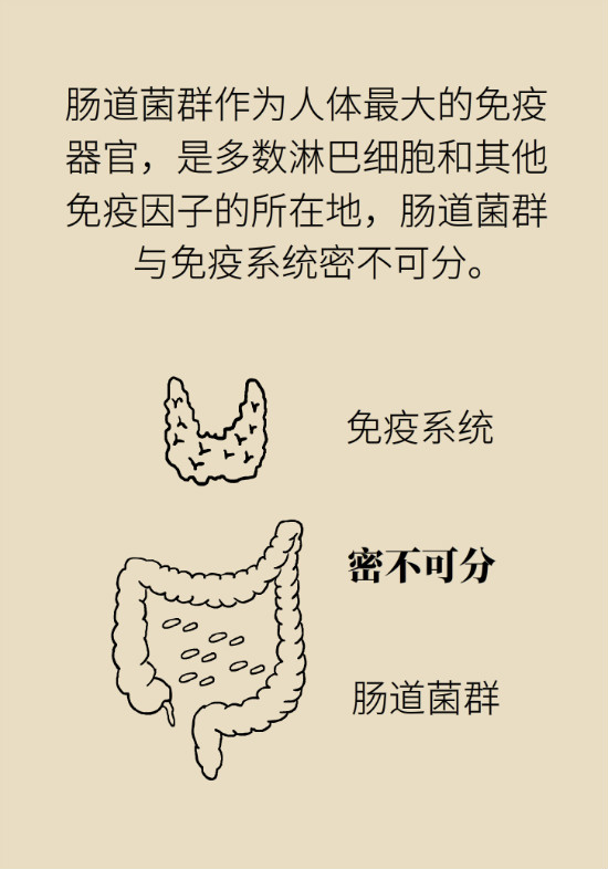 益生菌真能提高免疫力嗎？專家提醒注意這8點