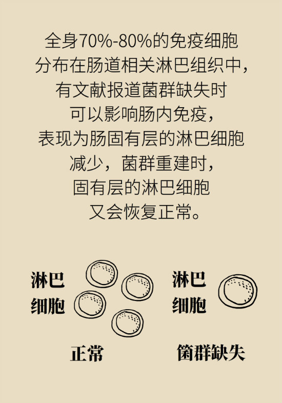 益生菌真能提高免疫力嗎？專家提醒注意這8點
