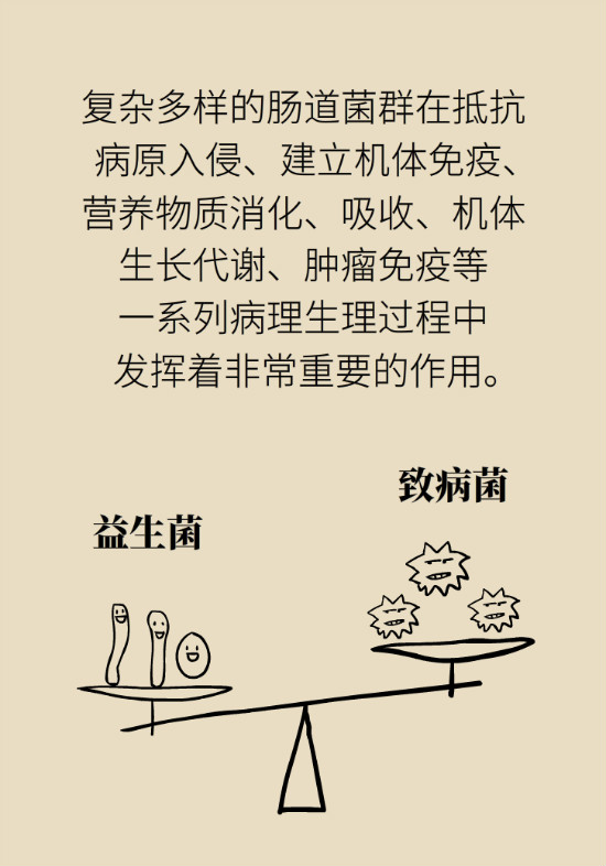 益生菌真能提高免疫力嗎？專家提醒注意這8點