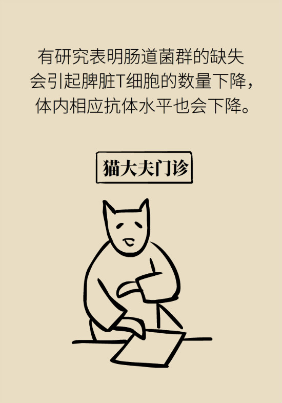 益生菌真能提高免疫力嗎？專家提醒注意這8點