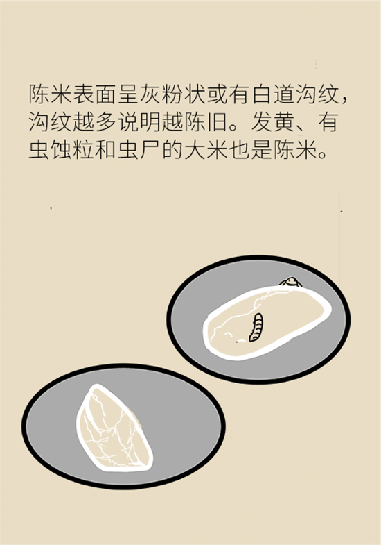 大米食油里也有致癌毒素，專家教你如何避開它