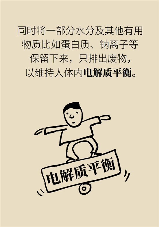 經(jīng)常憋尿會(huì)得急性腎炎？