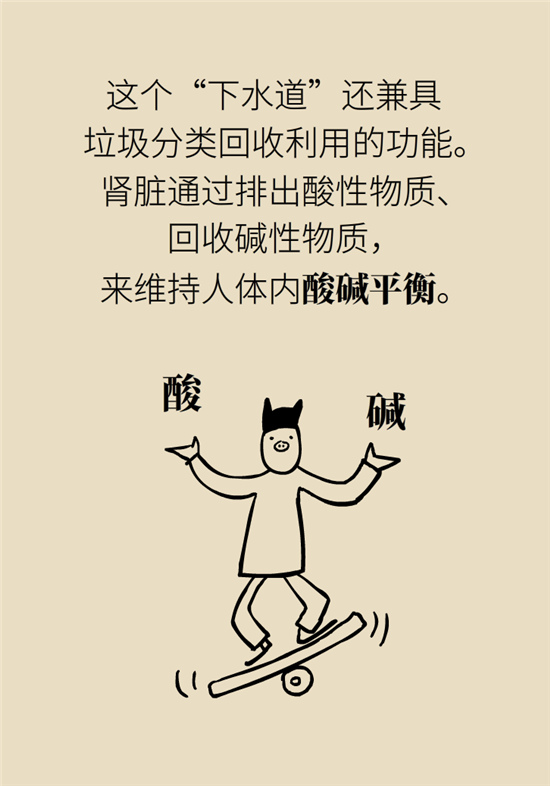 經(jīng)常憋尿會(huì)得急性腎炎？