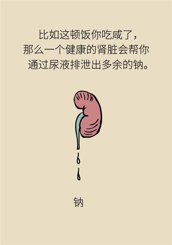 經(jīng)常憋尿會(huì)得急性腎炎？