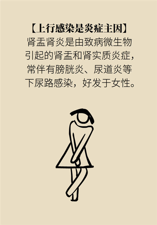 經(jīng)常憋尿會(huì)得急性腎炎？