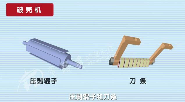 壓剝手爪是一個相對獨立的機械裝置.jpg 壓剝手爪是一個相對獨立的機械裝置.jpg