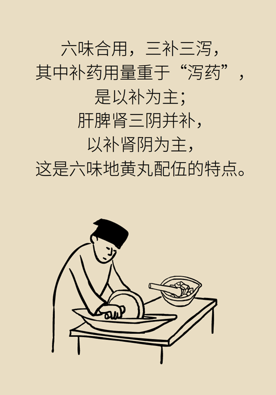 六味地黃丸 六味地黃丸科普