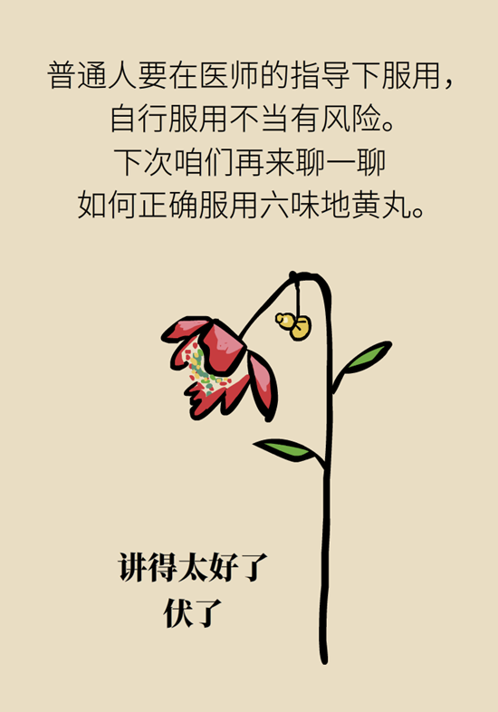 六味地黃丸 六味地黃丸科普