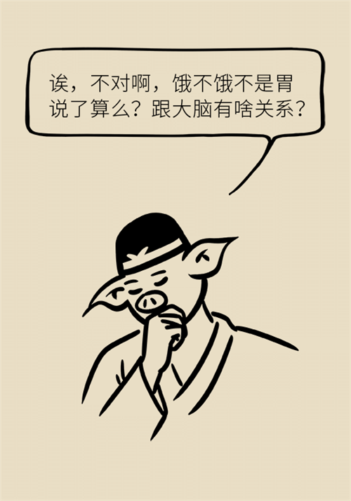 減肥 減肥科普