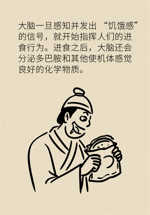 減肥 減肥科普