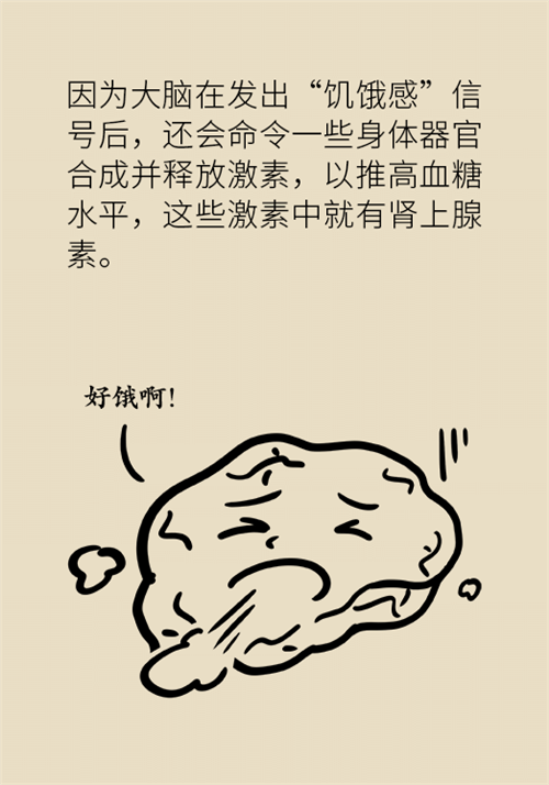 減肥 減肥科普