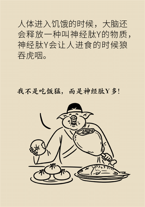 減肥 減肥科普