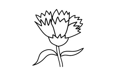 康乃馨簡(jiǎn)筆畫圖片