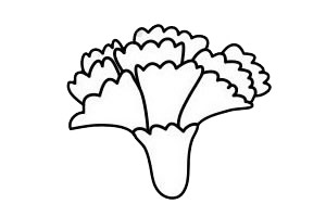一筆一筆的教畫康乃馨 康乃馨簡(jiǎn)單畫法