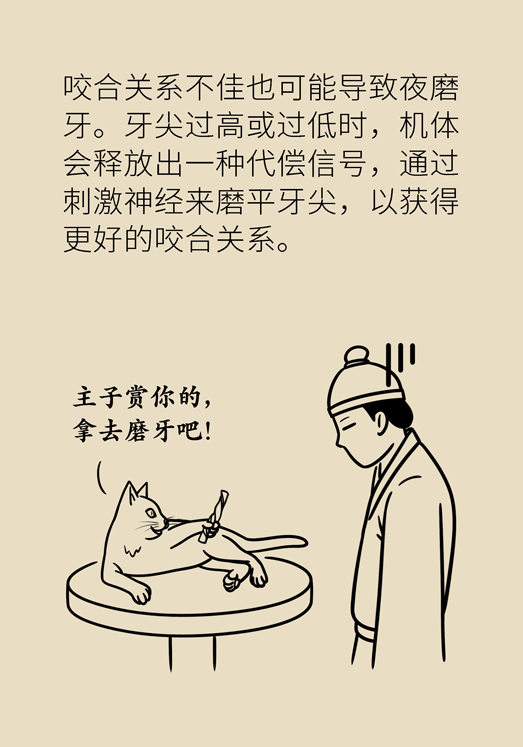 牙齒科普動漫 磨牙