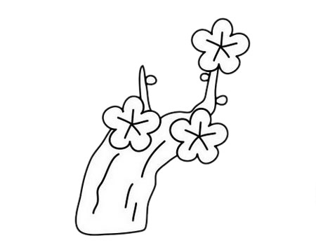 梅花 梅花簡(jiǎn)筆畫(huà)圖片