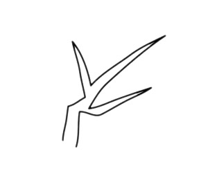 梅花 梅花簡(jiǎn)筆畫(huà)圖片