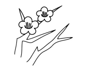 梅花 梅花簡(jiǎn)筆畫(huà)圖片
