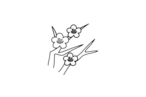 梅花 梅花簡(jiǎn)筆畫(huà)圖片