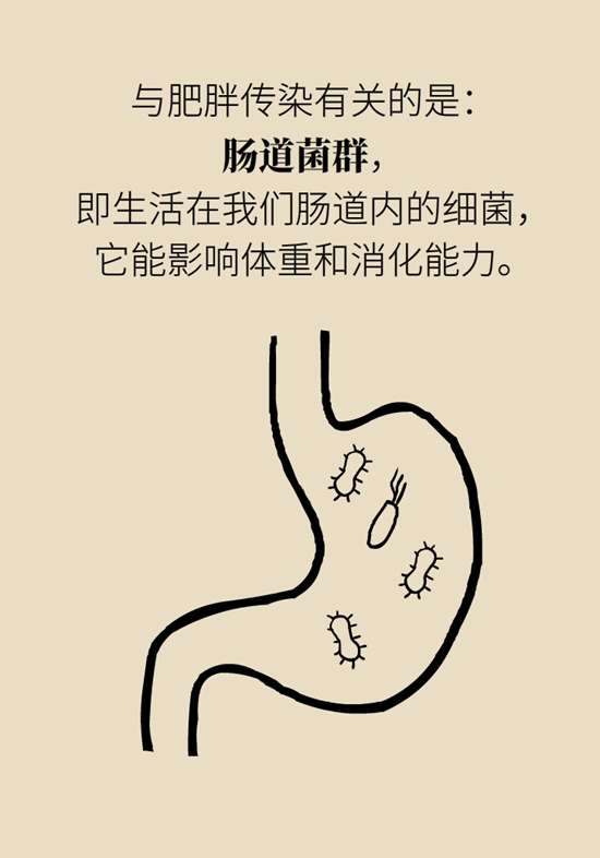 減肥科普動(dòng)漫制作 減肥科普動(dòng)漫制作