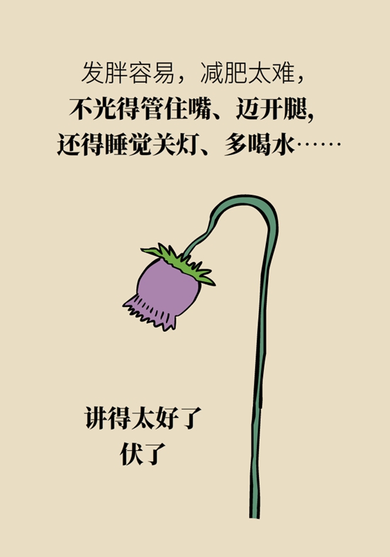 減肥科普動(dòng)漫制作 減肥科普動(dòng)漫制作