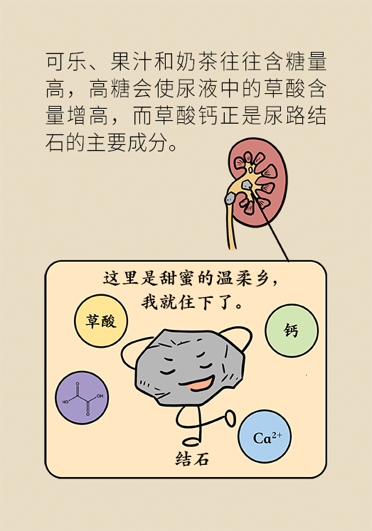 結(jié)石科普動(dòng)漫制作 結(jié)石科普動(dòng)漫制作