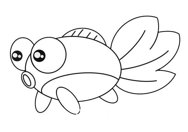金魚(yú) 金魚(yú)怎么畫(huà)簡(jiǎn)筆畫(huà)簡(jiǎn)單又漂亮