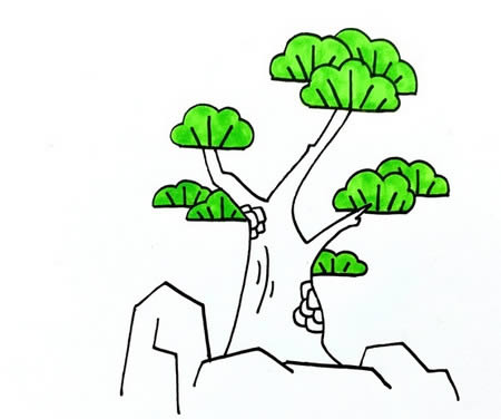 松柏簡(jiǎn)筆畫(huà)怎么畫(huà)簡(jiǎn)單又漂亮