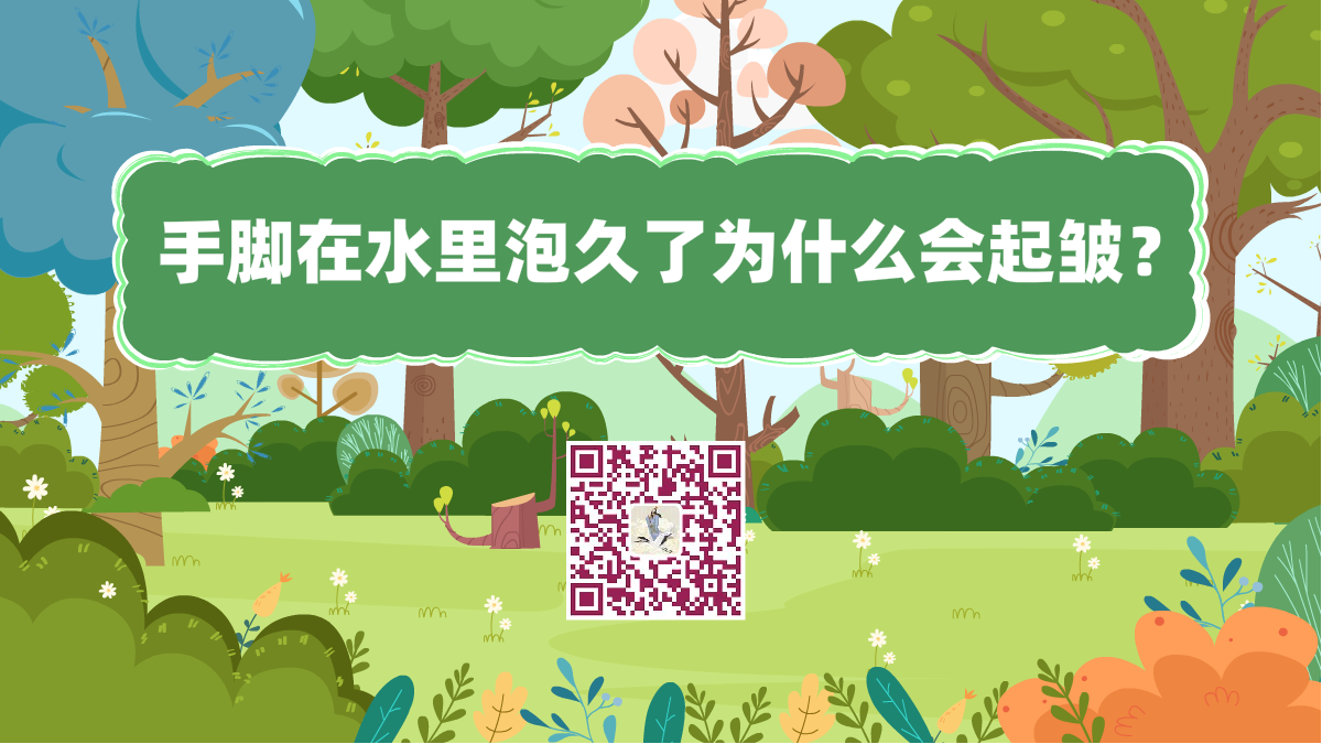 十萬(wàn)個(gè)為什么標(biāo)題(手指在水里泡久了,為什么會(huì)起皺)1200.png 十萬(wàn)個(gè)為什么標(biāo)題(手指在水里泡久了,為什么會(huì)起皺)1200.png