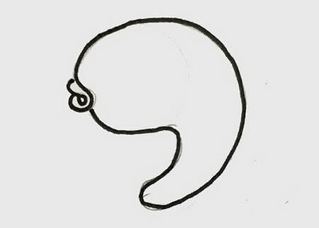 可愛(ài)的小魚(yú)簡(jiǎn)筆畫(huà)怎么畫(huà)簡(jiǎn)單又好看