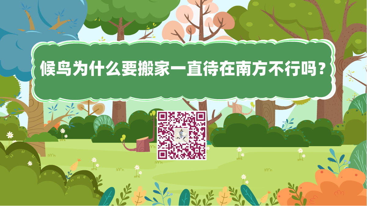 十萬個(gè)為什么標(biāo)題（候鳥為什么要搬家一直待在南方不行嗎）1200.png