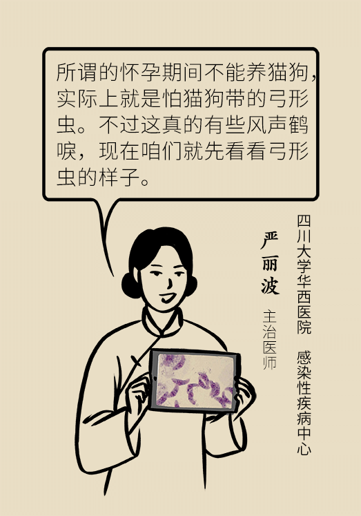 懷孕了不能養(yǎng)貓狗？別再信這些謠言了